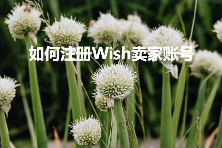 璺ㄥ鐢靛晢鐭ヨ瘑:濡備綍娉ㄥ唽Wish鍗栧璐﹀彿